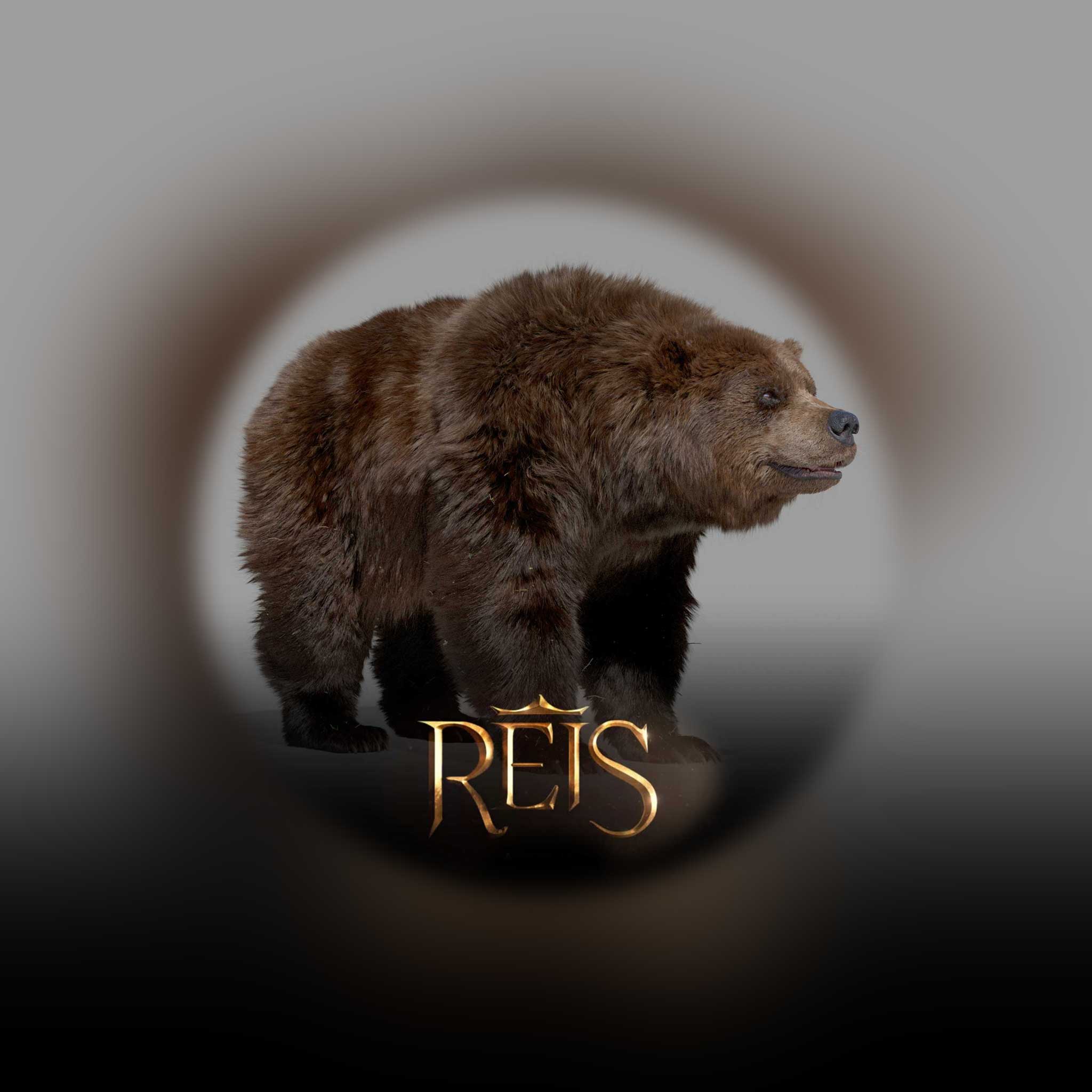 Reis Novel